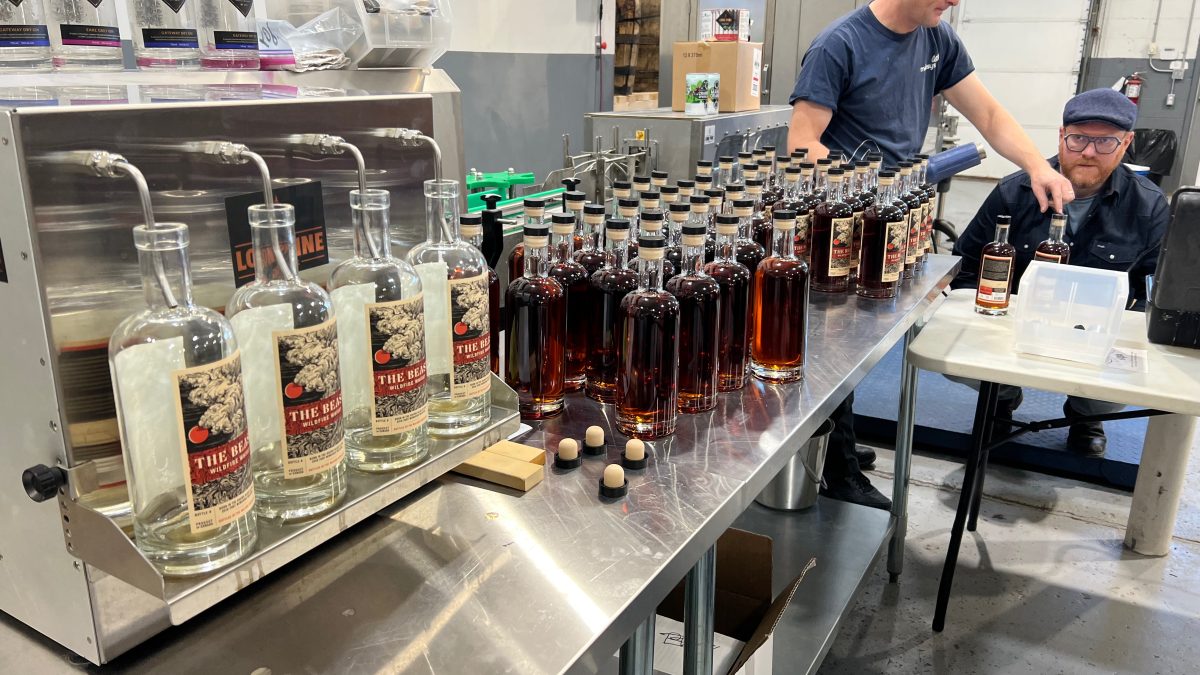 52511202054_c233cfcd4d_o