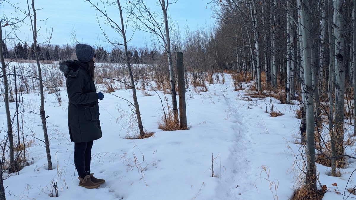 PXL_20230214_164821510_2