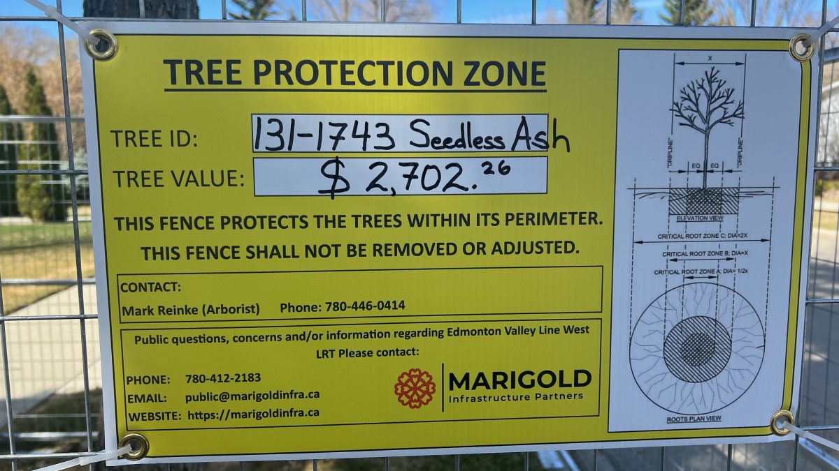 52870759132_b75d4cbc50_k