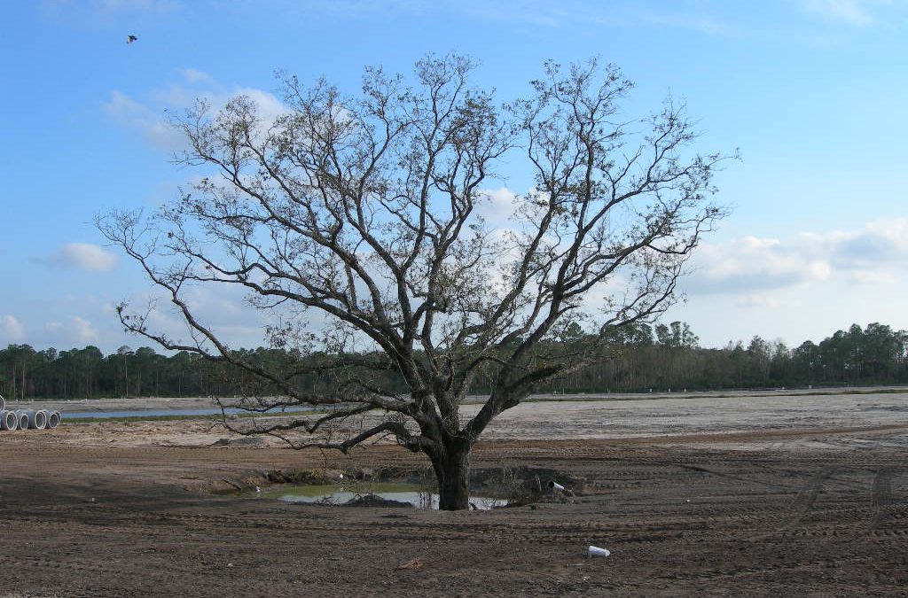 Grade Change 1 Grade Change 1